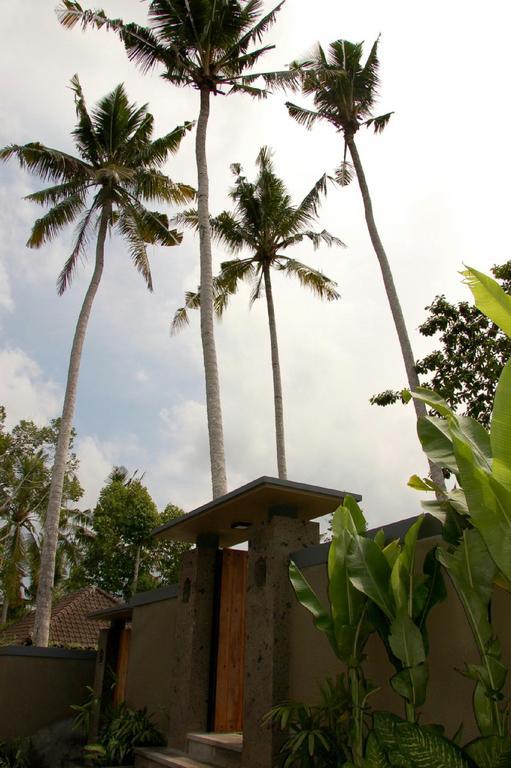 Villa Padma Ubud Buitenkant foto